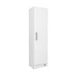 DESPENSERO ORGANIZADOR MUEBLE DE COCINA MOSCONI 1 PUERTA 56142 COLOR BLANCO
