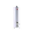 TERMOTANQUE RHEEM TPG120GNRH FUNCIONAL 120 LTS MULTIGAS SUPERIOR BLANCO