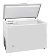 FREEZER HORIZONTAL BRIKET FR-3300 DUAL 300 LTS.