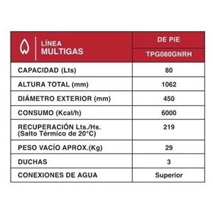 TERMOTANQUE RHEEM TPG080GNRH 80 LTS SUPERIOR PIE GAS BLANCO
