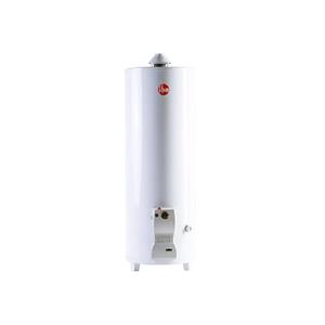 TERMOTANQUE RHEEM TPG120GNRH FUNCIONAL 120 LTS MULTIGAS SUPERIOR BLANCO