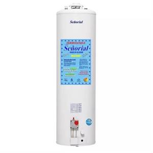 TERMOTANQUE SEÑORIAL 120 LTS APOYAR